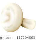 Widely consumed mushrooms in the world 117104663
