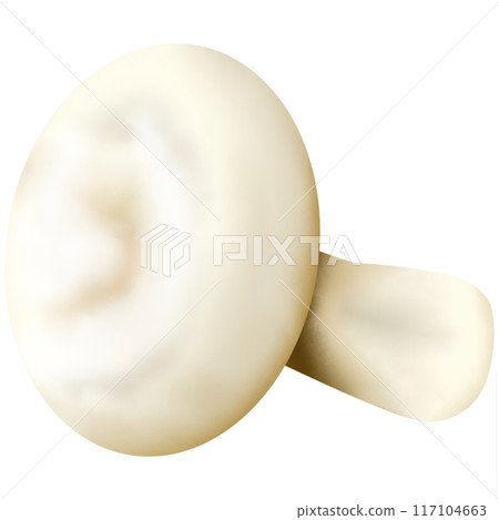 Widely consumed mushrooms in the world 117104663