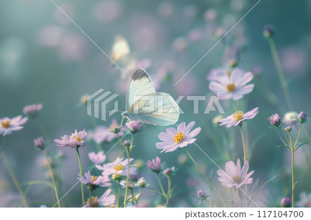 Serene image capturing the delicate beauty of butterflies flitting among pastel blossoms in a dreamy garden 117104700