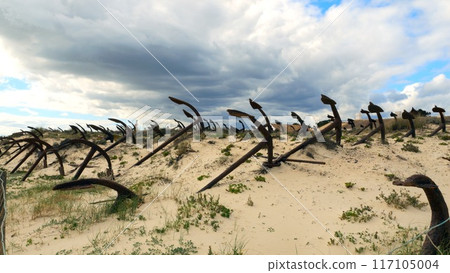 Rusty old anchors on the beach at an anchor cemetery graveyard at Praia do Barril beach, in Tavira, Algarve, Portugal.  117105004