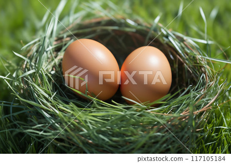 chicken eggs in a nest in the green grass, on a bright sunny day, on a branch in the village, rural surroundings against the background of spring nature 117105184