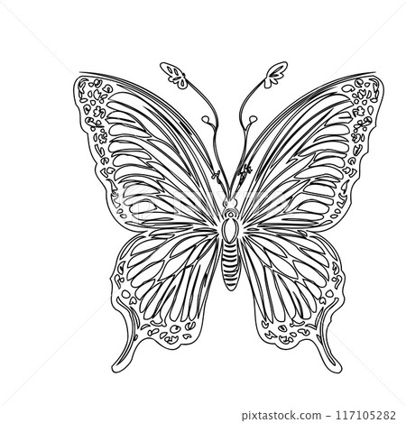 butterfly animal outline illustration sketch  117105282