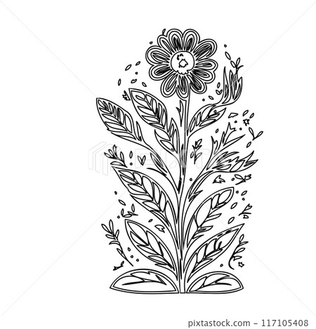 flower plant outline illustration sketch  117105408