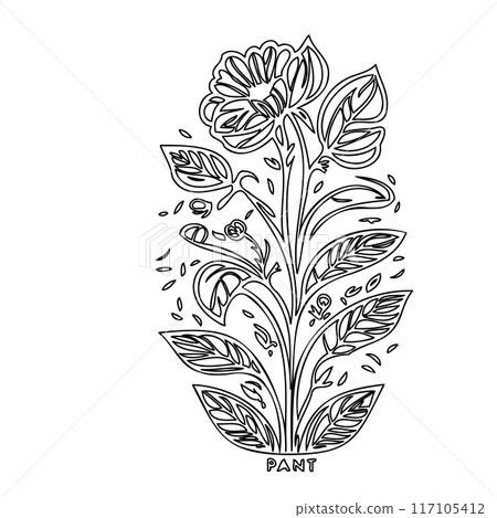 flower plant outline illustration sketch  117105412