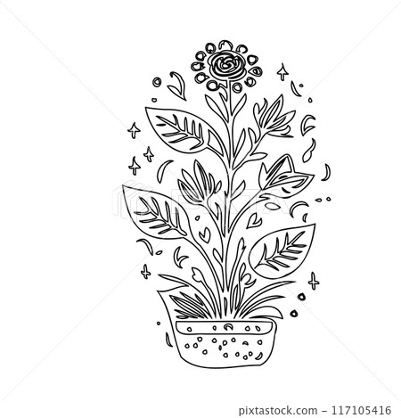 flower plant outline illustration sketch  117105416