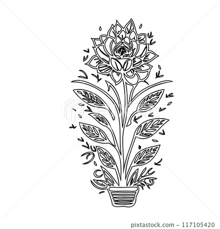 flower plant outline illustration sketch  117105420