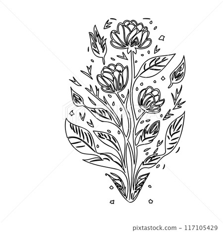 flower plant outline illustration sketch  117105429