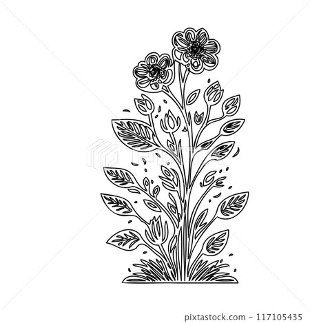 flower plant outline illustration sketch  117105435