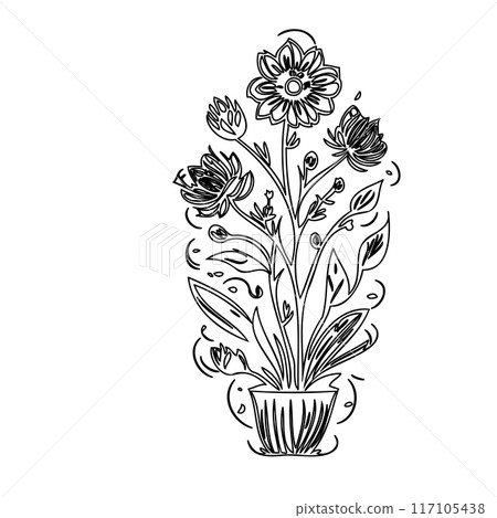 flower plant outline illustration sketch  117105438
