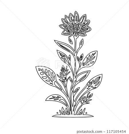 flower plant outline illustration sketch flower plant outline illustration sketch 117105454
