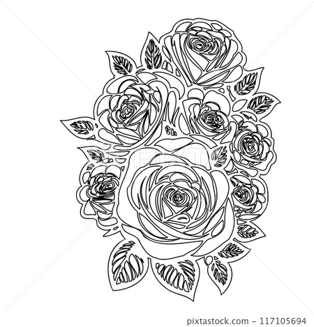 roses flower outline illustration sketch roses flower outline illustration sketch 117105694