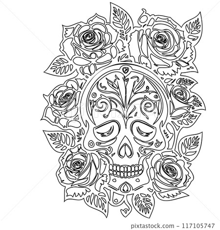 roses flower outline illustration sketch  117105747