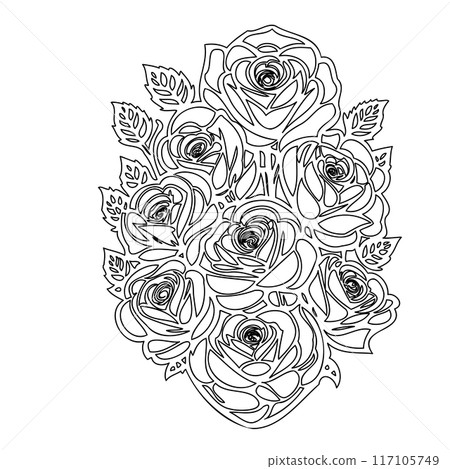 roses flower outline illustration sketch  117105749