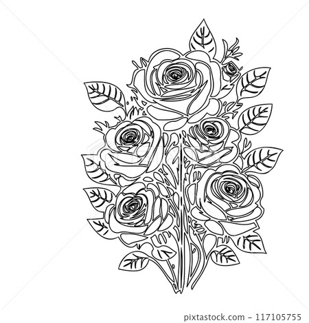 roses flower outline illustration sketch roses flower outline illustration sketch 117105755