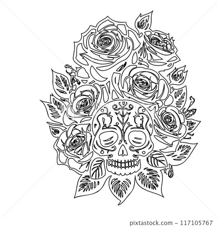 roses flower outline illustration sketch  117105767