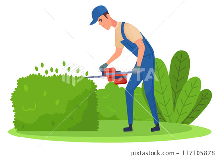 Green hedge pruning. Garden worker trim bush Green hedge pruning. Garden worker trim bush 117105878
