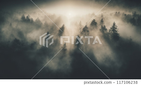 a beautiful morning landscape, forest aerial view, sunlight and haze, beautiful nature as background a beautiful morning landscape, forest aerial view, sunlight and haze, beautiful nature as background 117106238