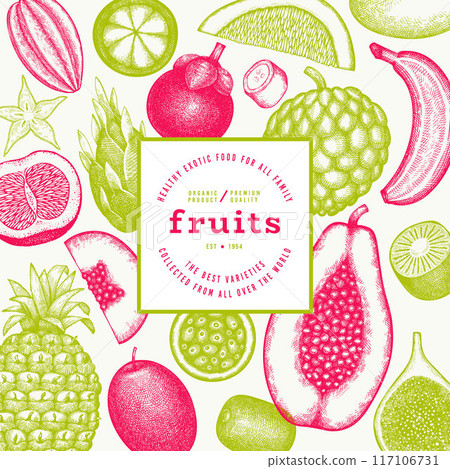 Tropical Fruit Design Template. Vector Hand Drawn Exotic Fruit Banner. Vintage Style Menu Illustration. Tropical Fruit Design Template. Vector Hand Drawn Exotic Fruit Banner. Vintage Style Menu Illustration. 117106731