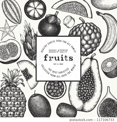 Tropical Fruit Design Template. Vector Hand Drawn Exotic Fruit Banner. Vintage Style Menu Illustration. Tropical Fruit Design Template. Vector Hand Drawn Exotic Fruit Banner. Vintage Style Menu Illustration. 117106733