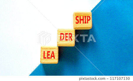 Leadership symbol. Concept word Leadership on beautiful wooden blocks. Beautiful blue and white background. Business leadership concept. Copy space. 117107130