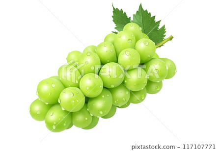 Shine Muscat illustration realistic grapes 117107771
