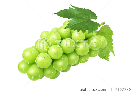 Shine Muscat illustration realistic grapes 117107780
