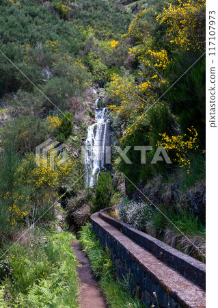 Wild nature and a waterfall, Rabacal, Madeira Wild nature and a waterfall, Rabacal, Madeira 117107973
