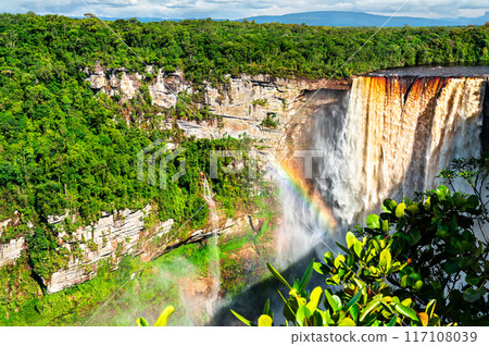 Kaieteur Falls with a rainbow in Amazon rainforest of Guyana. One of the highest and most powerful waterfalls in the world 117108039