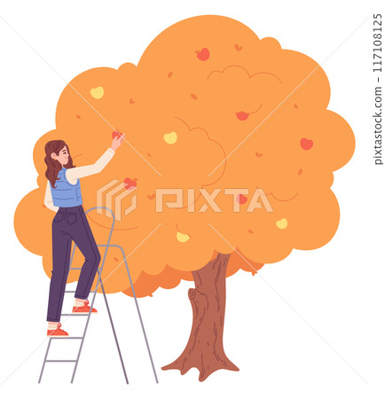 Autumn apple tree with ripe fruits and female gardener 117108125
