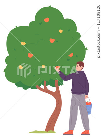 Man harvesting apples from tree. Garden fruits icon 117108126