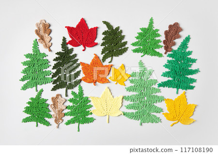 Knitted green fern leaves and autumn yellow and red maple and oak leaves. Autumn background with place for text. Top view, flat lay. 117108190