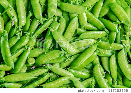 Freshly picked field peas in pods, plant texture for background. Freshly picked field peas in pods, plant texture for background. 117108566