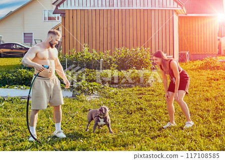 Playful American Bully dog entertains his young white owners by playing with splashes of water from garden hose on summer evening. Playful American Bully dog entertains his young white owners by playing with splashes of water from garden hose on summer evening. 117108585