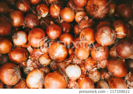 Pile of fresh organic onions 117108622
