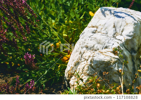 White marble stone among flowers, element of design and landscaping 117108828