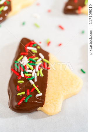 Buttery cookies half-dipped in chocolate, sprinkled with festive red, green, and white decorations, laid on white parchment to set. 117109019