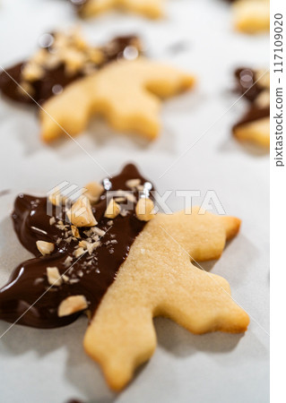 Creating cutout sugar cookies, partially dipped in chocolate and topped with hazelnut pieces, placed on parchment paper. Creating cutout sugar cookies, partially dipped in chocolate and topped with hazelnut pieces, placed on parchment paper. 117109020