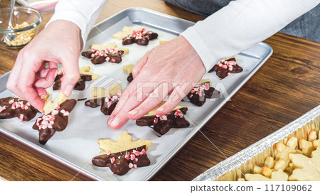 Carefully packaging Christmas cutout cookies, half-dipped in chocolate and presented in clear cellophane wrapping, perfect for festive gifting. 117109062
