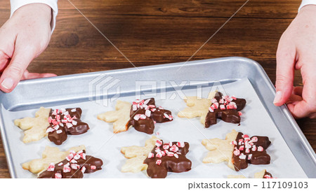 Carefully packaging Christmas cutout cookies, half-dipped in chocolate and presented in clear cellophane wrapping, perfect for festive gifting. Carefully packaging Christmas cutout cookies, half-dipped in chocolate and presented in clear cellophane wrapping, perfect for festive gifting. 117109103