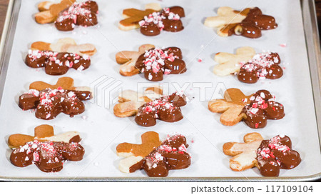 Crafting star-shaped holiday cookies dipped in chocolate and sprinkled with variety of toppings. Crafting star-shaped holiday cookies dipped in chocolate and sprinkled with variety of toppings. 117109104