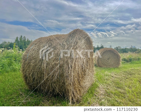 Cute hay rolls in the grass 117110230