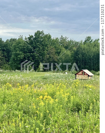 A cute shed in the middle of the grass 117110231