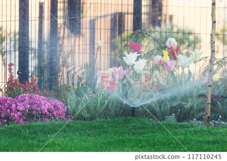 Automatic garden lawn sprinkler in action watering green grass 117110245