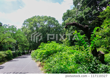 Green image of Toyama Park 117110327