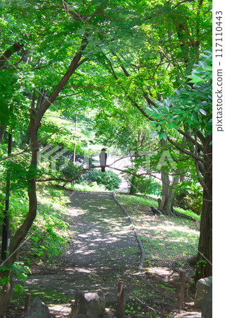 富山公園綠地 富山公園綠地 117110443