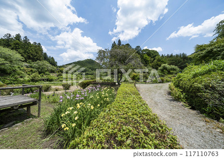 Flower Village Takiya 117110763