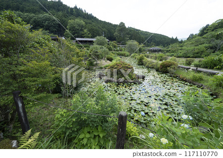 Flower Village Takiya 117110770