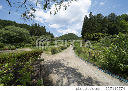 Flower Village Takiya Flower Village Takiya 117110774