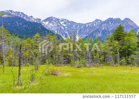 One of Japan's leading mountain resorts: Kamikochi with its fresh greenery, Tashiro Marshland and the Hotaka mountain range One of Japan's leading mountain resorts: Kamikochi with its fresh greenery, Tashiro Marshland and the Hotaka mountain range 117111557