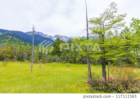 日本最好的山區度假勝地之一，綠樹成蔭的上高地、田代濕地和穗高山脈 117111565